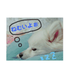 ゆきちゃん2（個別スタンプ：12）
