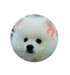 ゆきちゃん2（個別スタンプ：15）