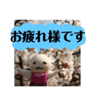 ニートちゃん〜基本編〜（個別スタンプ：5）