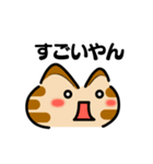 かわいい顔文字なネコたち（関西弁）（個別スタンプ：14）