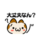 かわいい顔文字なネコたち（関西弁）（個別スタンプ：33）