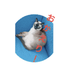 普段使いに！（個別スタンプ：3）