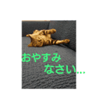 普段使いに！（個別スタンプ：4）