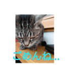 普段使いに！（個別スタンプ：8）
