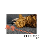 普段使いに！（個別スタンプ：13）