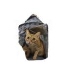 ましゃもか（個別スタンプ：3）