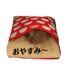 可愛いハリスタンプ♡（個別スタンプ：2）