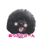 笑う犬の「うめ」と申します（個別スタンプ：1）