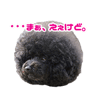 笑う犬の「うめ」と申します（個別スタンプ：4）