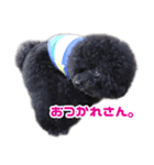 笑う犬の「うめ」と申します（個別スタンプ：6）