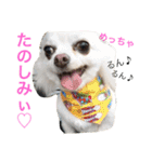 ひめと蘭丸。時々むぎ（個別スタンプ：30）