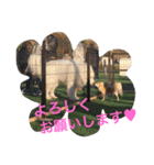 ひめと蘭丸。時々むぎ（個別スタンプ：32）