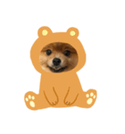 犬 たち（個別スタンプ：1）