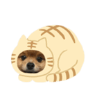 犬 たち（個別スタンプ：2）