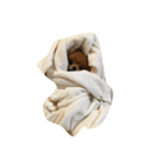 犬 たち（個別スタンプ：8）