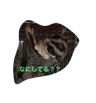 わが家のももちゃん（個別スタンプ：2）