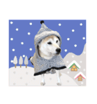 柴犬ハナちゃん。2（個別スタンプ：24）