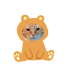 ちぃーたん（個別スタンプ：1）
