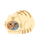 ちぃーたん（個別スタンプ：5）