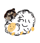 じょん太 2（個別スタンプ：10）