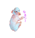 程良く可愛いわんこυ´• ﻌ •`υ（個別スタンプ：4）