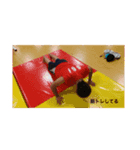 まったく需要のないスタンプ2（個別スタンプ：6）