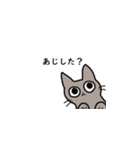 ねこさんの千葉弁＆使える会話（個別スタンプ：1）