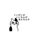 ねこさんの千葉弁＆使える会話（個別スタンプ：17）