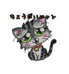 愛くるしいアメショ猫とらじ（個別スタンプ：7）