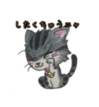 愛くるしいアメショ猫とらじ（個別スタンプ：10）