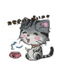 愛くるしいアメショ猫とらじ（個別スタンプ：13）
