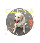 チョコラブアモーレのお友達（個別スタンプ：7）