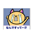 ねこのスタンプ日常使用編（個別スタンプ：11）