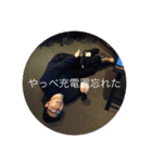 さいたま会スタンプ2（個別スタンプ：9）
