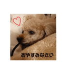 モカの日常①（個別スタンプ：8）