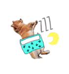 たぷべべ...（個別スタンプ：1）