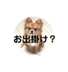 たぷべべ...（個別スタンプ：6）