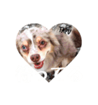 たぷべべ...（個別スタンプ：7）