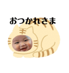 こんのれお（個別スタンプ：1）