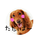 さぶろー（個別スタンプ：3）