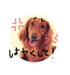 さぶろー（個別スタンプ：5）