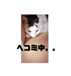 メロの会話（個別スタンプ：6）