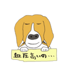 恵子さんのビーグル犬（個別スタンプ：1）