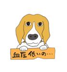恵子さんのビーグル犬（個別スタンプ：2）