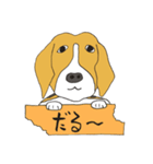 恵子さんのビーグル犬（個別スタンプ：3）
