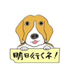 恵子さんのビーグル犬（個別スタンプ：4）