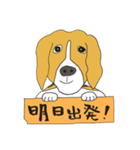 恵子さんのビーグル犬（個別スタンプ：5）