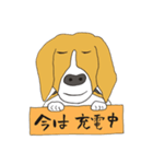 恵子さんのビーグル犬（個別スタンプ：6）