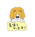 恵子さんのビーグル犬（個別スタンプ：7）