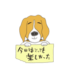 恵子さんのビーグル犬（個別スタンプ：8）
